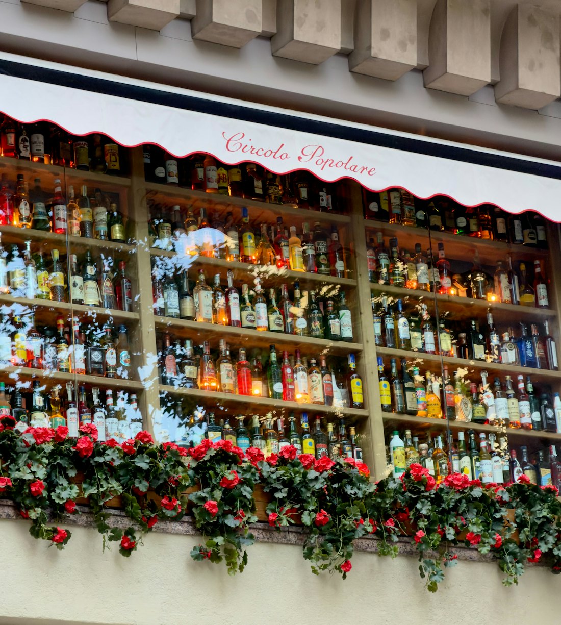 Bottles lined up along a backbar